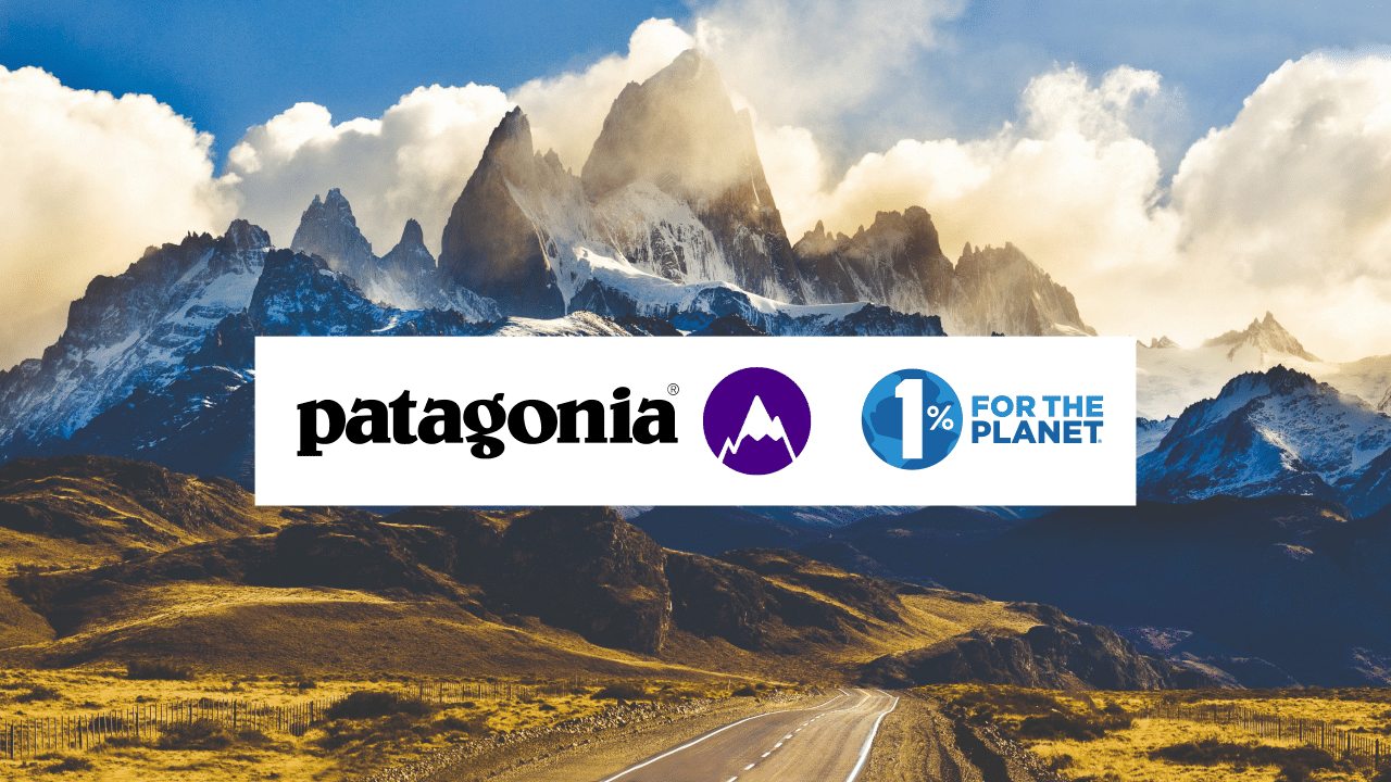 Brand Activism: l'esempio di Patagonia